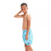 Spodenki kąpielowe chłopięce Speedo Printed 15 Watershort Boy Alpine Blue/Pool/White