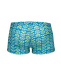  Arena Friends Swim Short Boys Soft Green/Multi